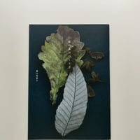 私の森のつくり方 (小冊子)  横山美恵子著