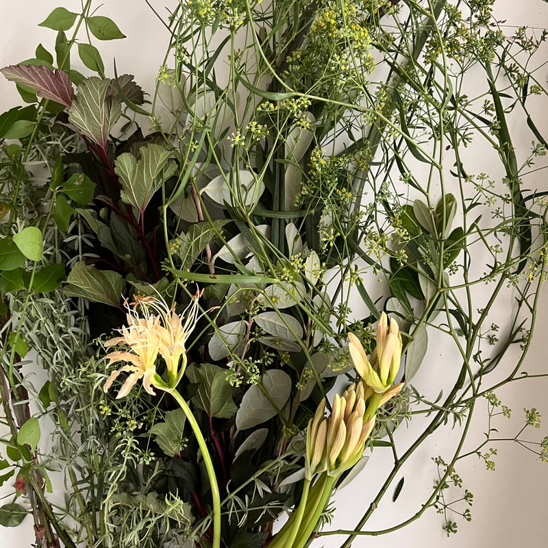 花農家直送！！こちらはご予約専用ページです❀ ⚠︎お任せMIX一旦休止します。 花農家直送！！こちらはご予約専用ページです❀ ⚠︎お任せMIX