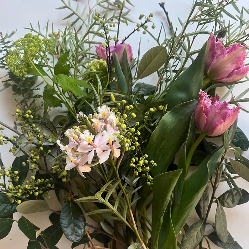 花農家直送！！クルクマ❀ご予約専用ページ❀商品説明必読！！です！！❀ 花農家直送！！クルクマ20本❀ガーベラ60本❀菊❀ 花農家直送！！