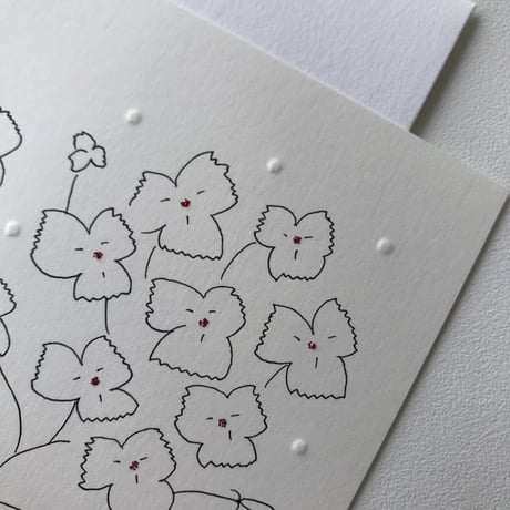 MIKAMON drawing card "Dianthus"