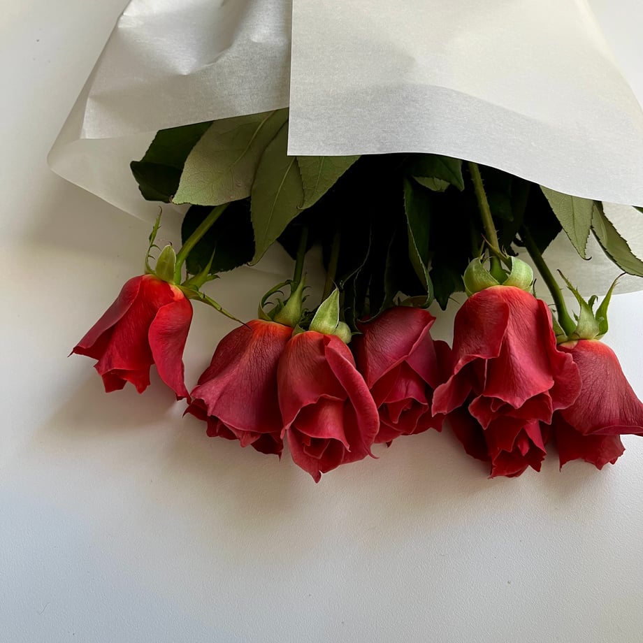657903fd1435c10030da7084