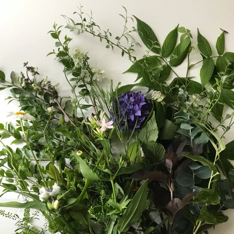 ご予約 おまかせ季節の花