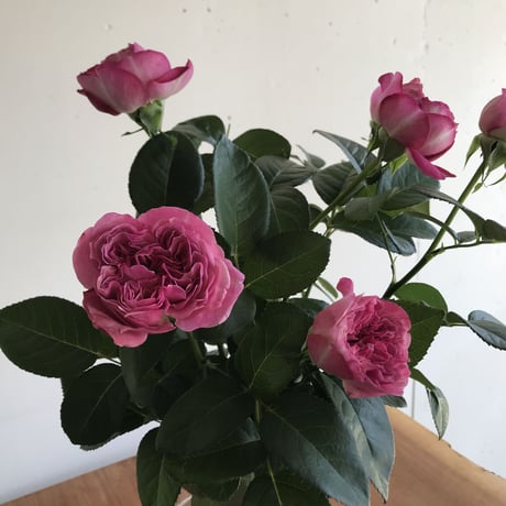 季節の花束ギフト(ギフトBOX入り)