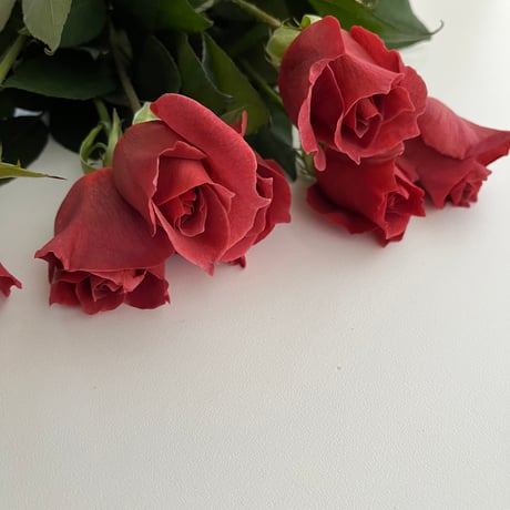ご予約 バラ(ブラックティー)の花束