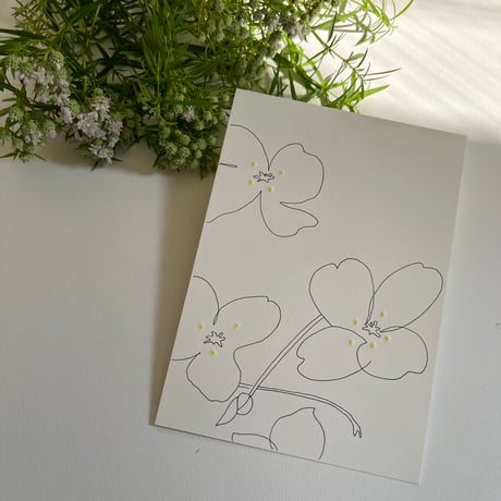 MIKAMON Drawing Card no.4