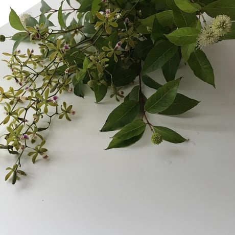 ご予約 おまかせ季節の花
