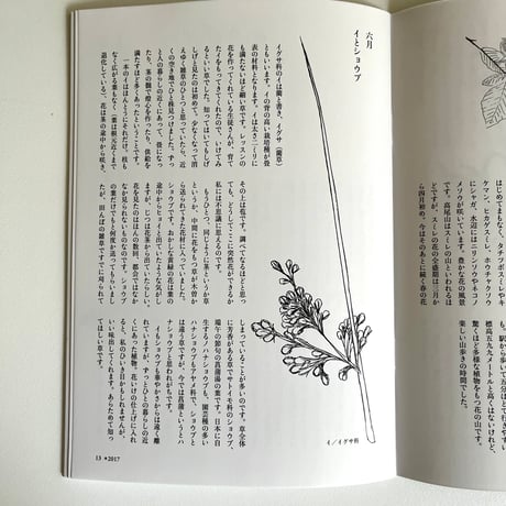横山美恵子著 草花ノート