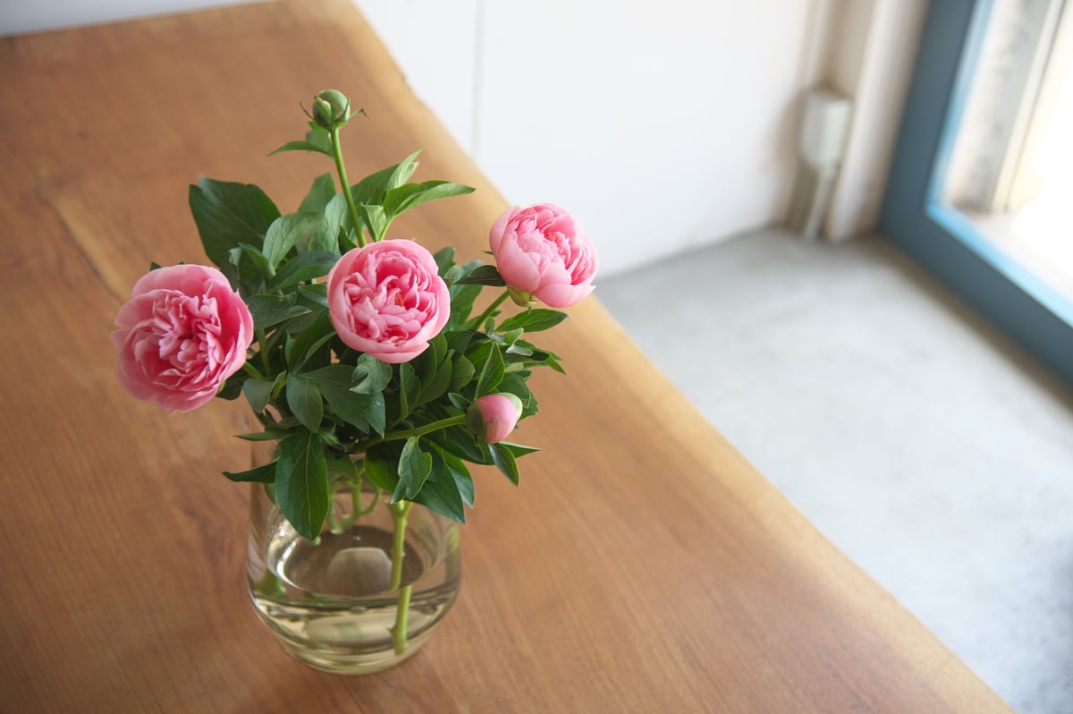 henry dean ヘンリーディーン クレモンス ハイM クラレット 花瓶 HenryDean ヘンリーディーン グラスXL クラレット ガラス花瓶