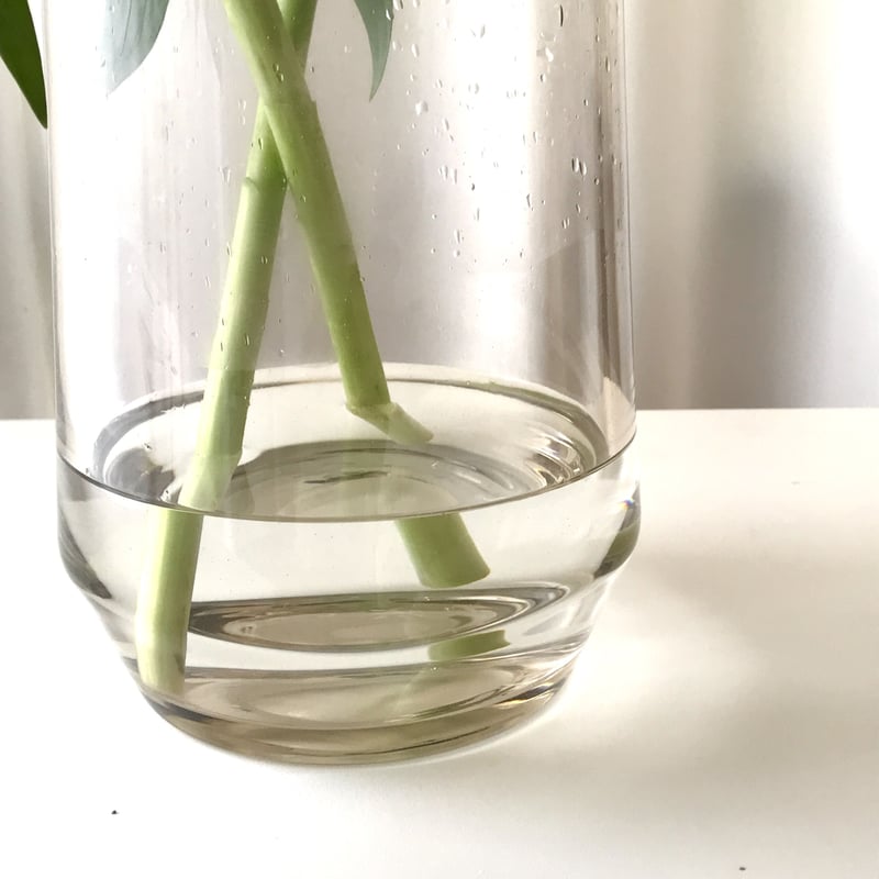 ヘンリーディーンフラワーベイス クレモンスハイ M | Le Vert