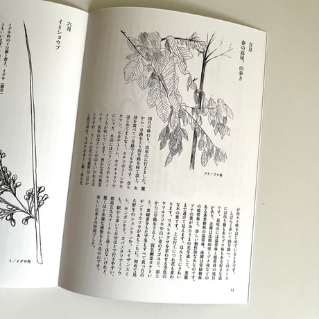 横山美恵子著 草花ノート