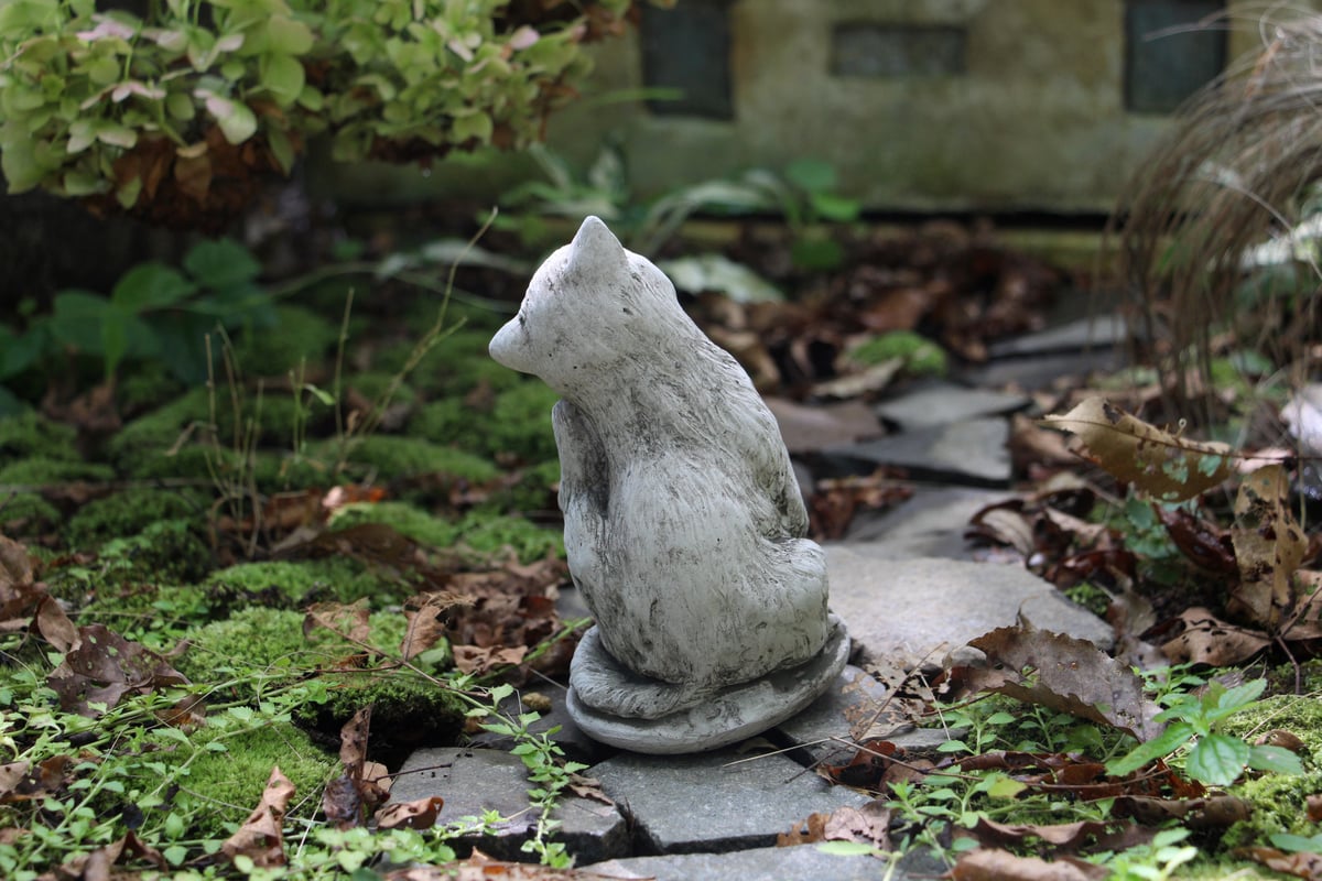 ワンダーデコール】SM30/ SMALL SCRATCHING CAT | ローザンベリー多