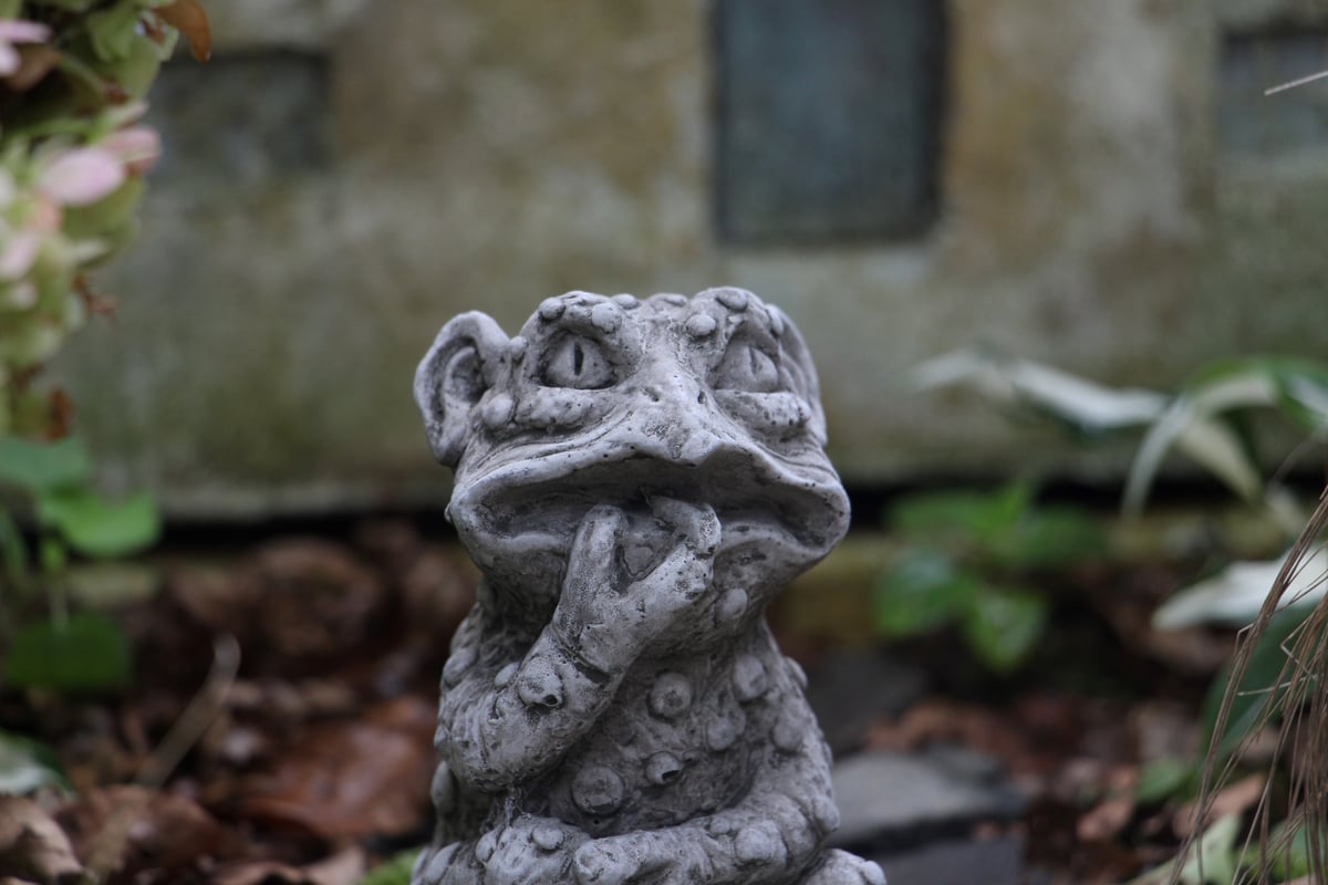 ワンダーデコール】SM06/ FROG GARGOYLE | ローザンベリー多和田公式