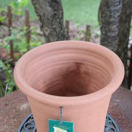 【ウィッチフォード】Jubilee_Pot 730/ 植木鉢