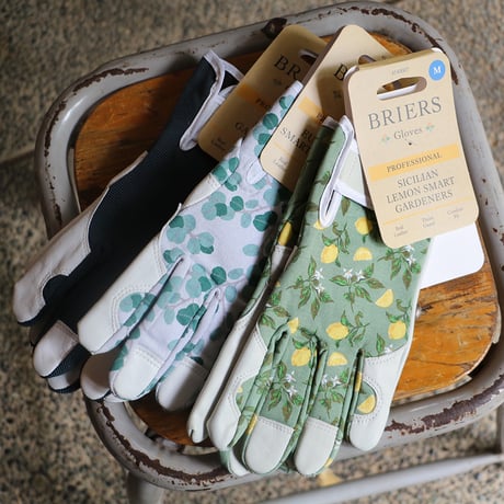 BRIERS Gloves -PROFESSIONAL-　ネイビー（L）