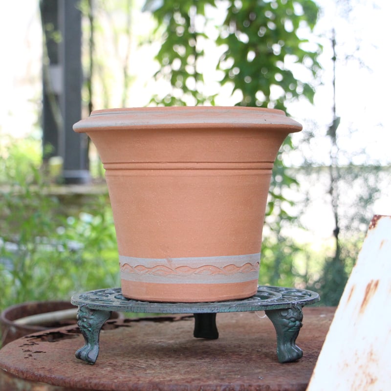 ウィッチフォード】Species_Hellebore_Pot 866/ 植木鉢