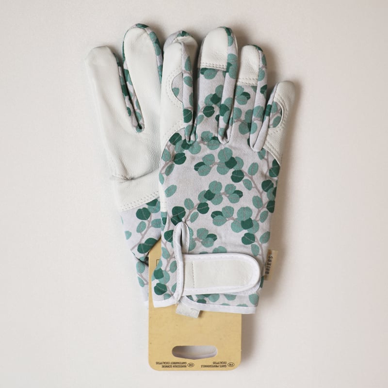 BRIERS Gloves -PROFESSIONAL- ユーカリ（M）／バラ・園芸用手袋 |
