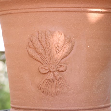【ウィッチフォード】Hidcote_Lavender 785/ 植木鉢