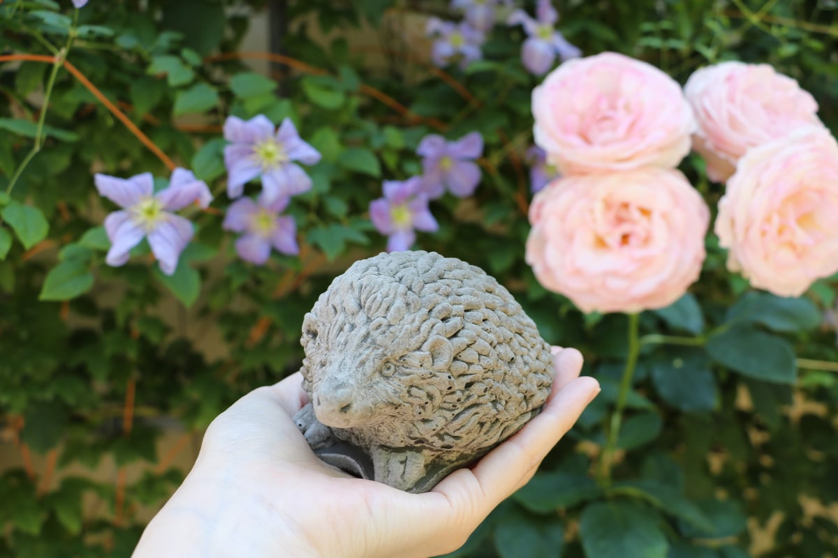 ワンダーデコール / HEDGEHOG（ハリネズミ）入荷しました | ローザン