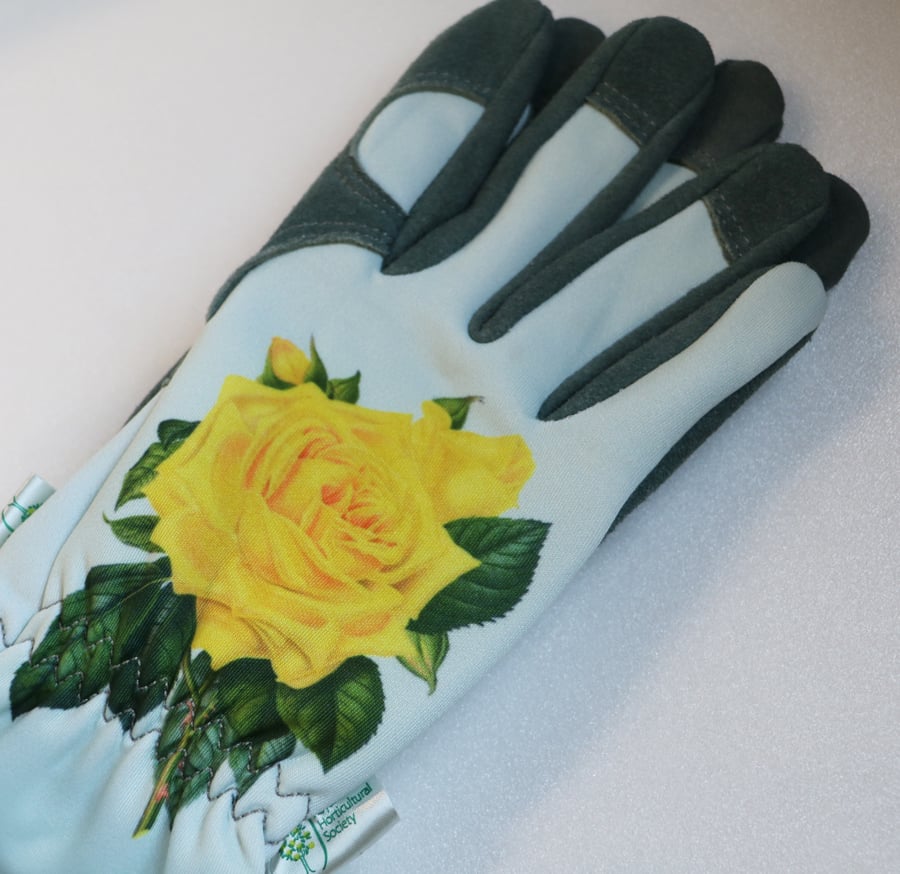 THE RHS Collection ／Hampton（Friendship） 英国RHSガー