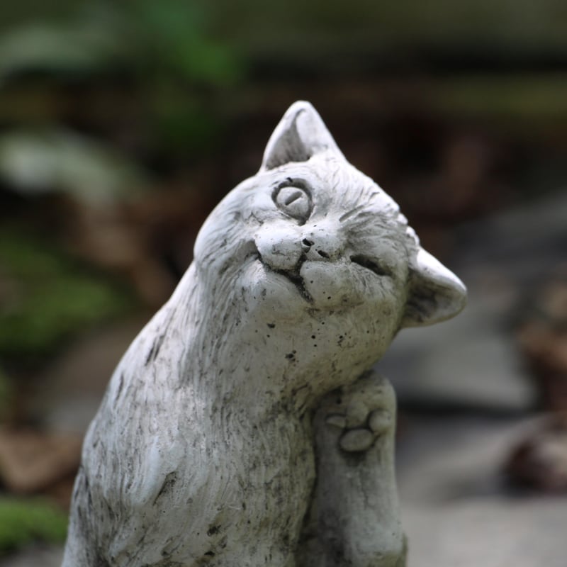 ワンダーデコール】SM30/ SMALL SCRATCHING CAT | ローザンベリー多