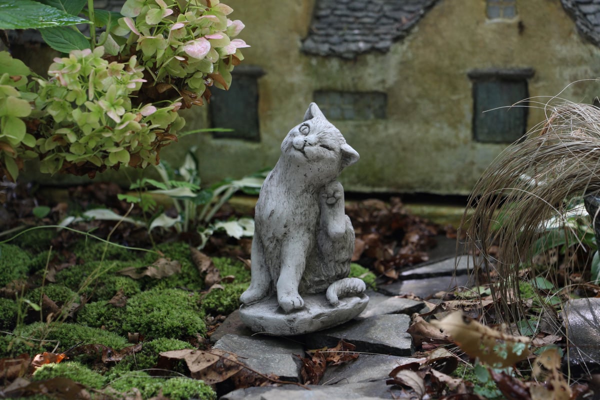 ワンダーデコール】SM30/ SMALL SCRATCHING CAT | ローザンベリー多