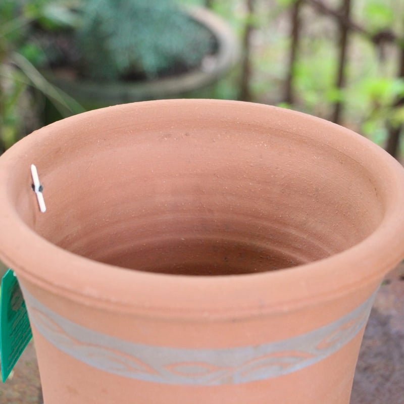 ヨーム　鉢 smokedplanter002.jpg