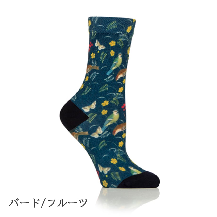 6a41e3e9dc901c1250a55535