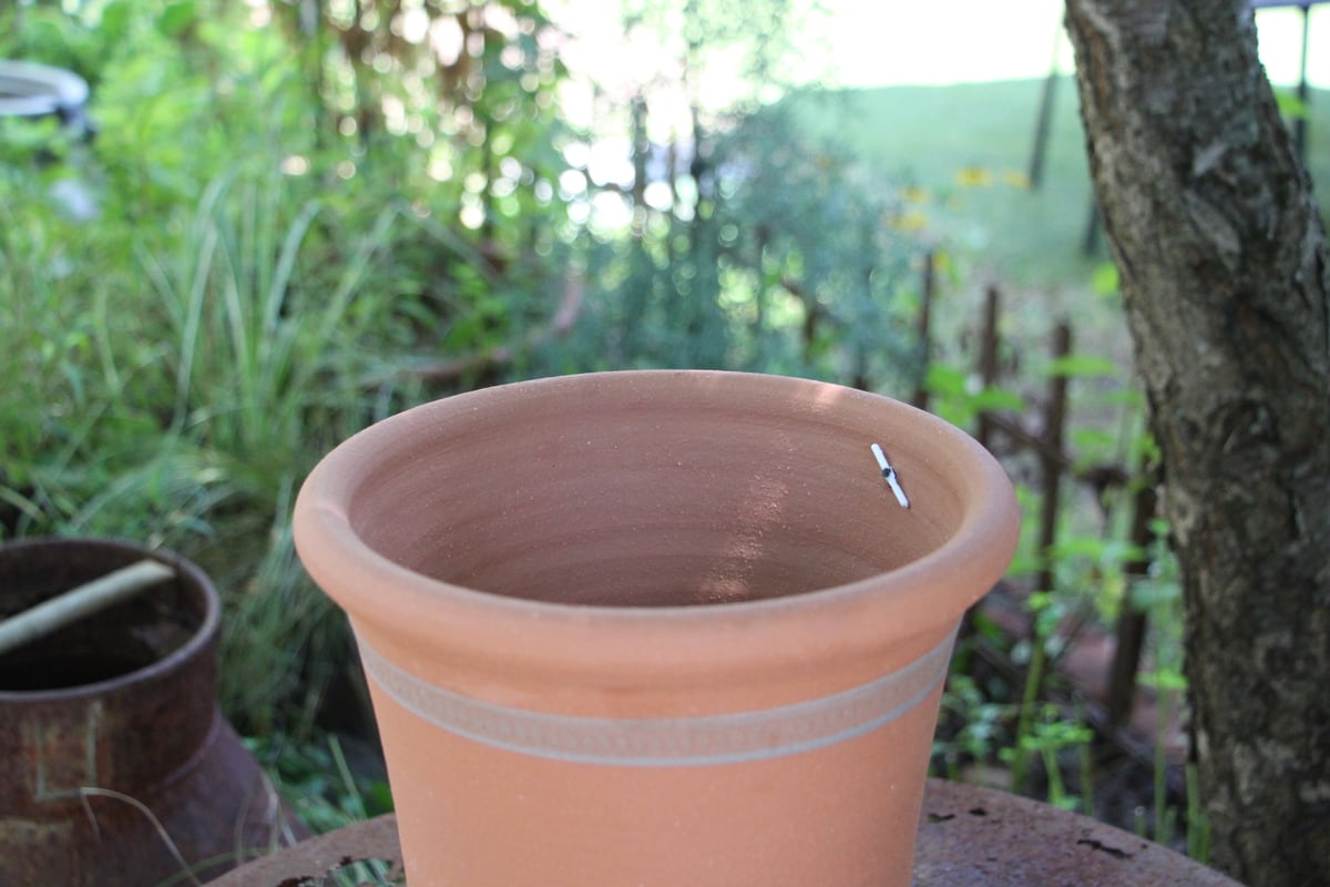 ウィッチフォード】Sutton_Pot 1346/ 植木鉢 | ローザンベリー多和田