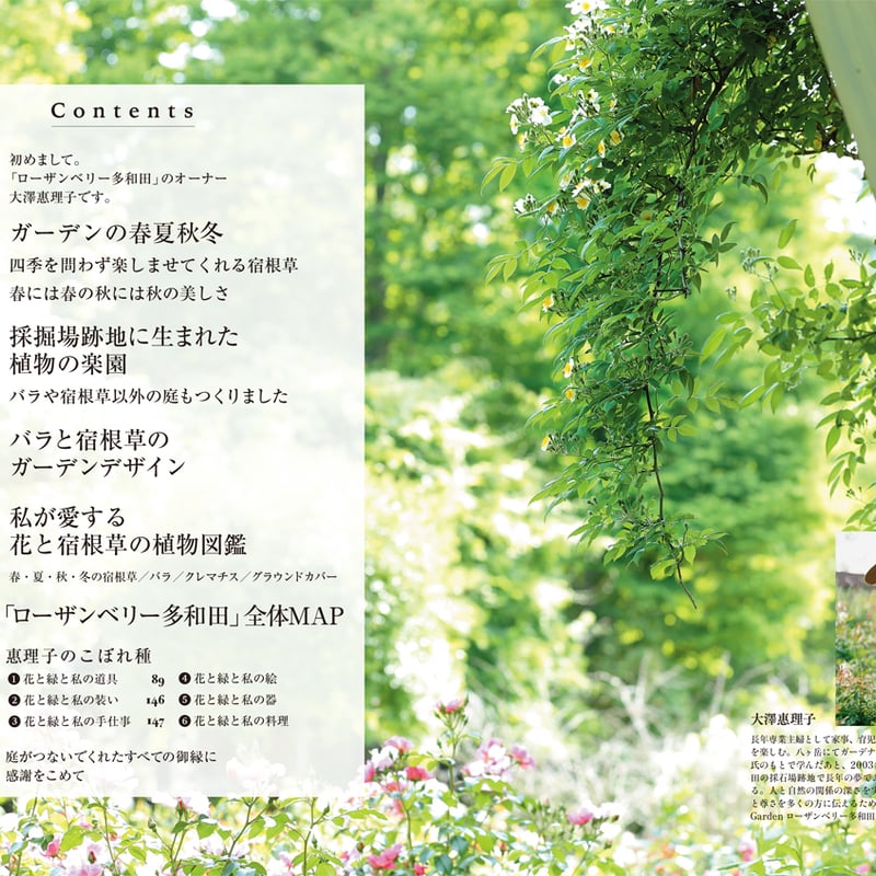 通常送料】〈ソフトカバー〉もっとも美しいバラと宿根草の庭／大澤