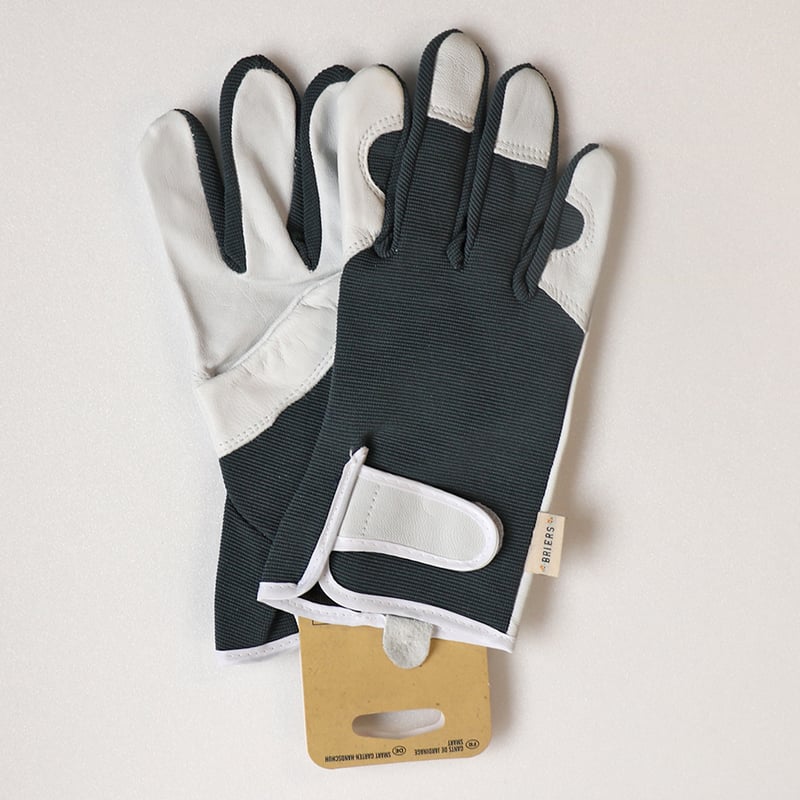 BRIERS Gloves -PROFESSIONAL- ネイビー（L） | ローザンベリー多