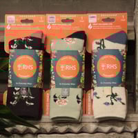 ワンダーデコール】SM06/ FROG GARGOYLE | ローザンベリー多和田公式