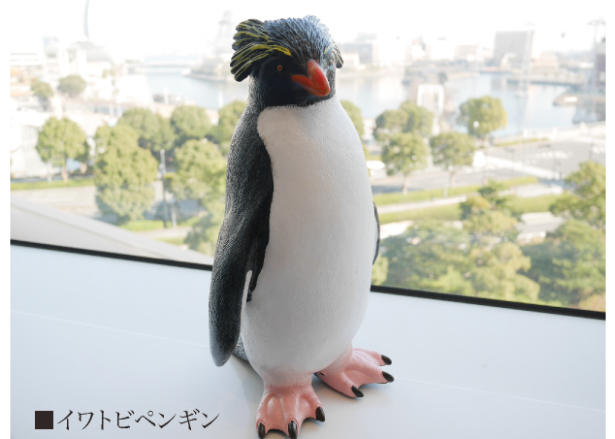 ペンギン　ビニールフィギュア Favorite｜キングペンギン ビニールモデル｜愛嬌とリアルな