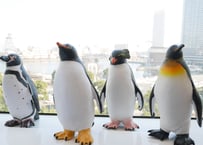 インテリアにおすすめ｜ビニールモデルペンギン