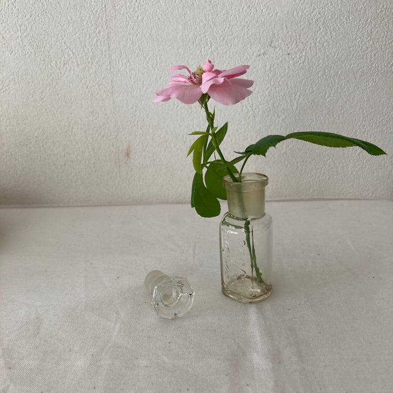アンティークビミニガラスの花瓶 Amazon.co.jp: ガラスの花瓶 ミニ花器 一輪挿し 透明 タイプ1