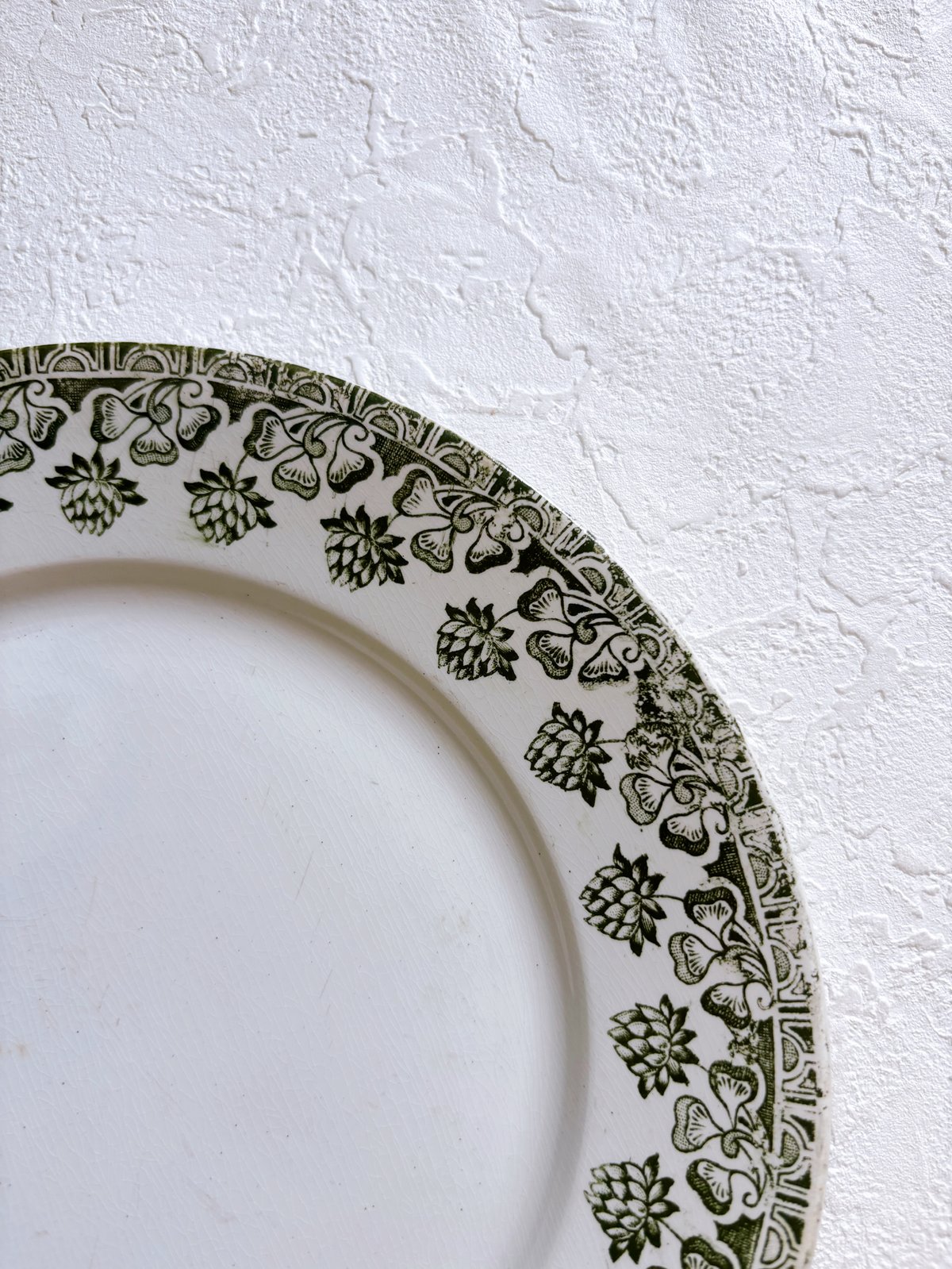 フランスアンティーク Badonviller trefleシリーズ プレート | minon