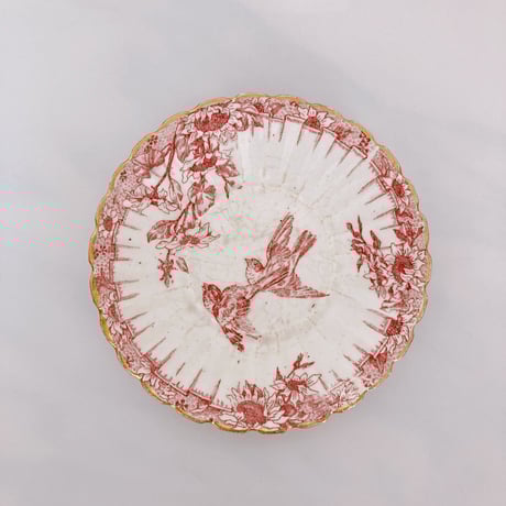 フランスアンティーク皿 | STORES