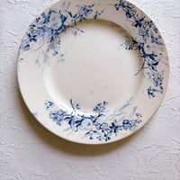 フランス　Creil et Montereau  デザートプレート　小鳥・ブルー④