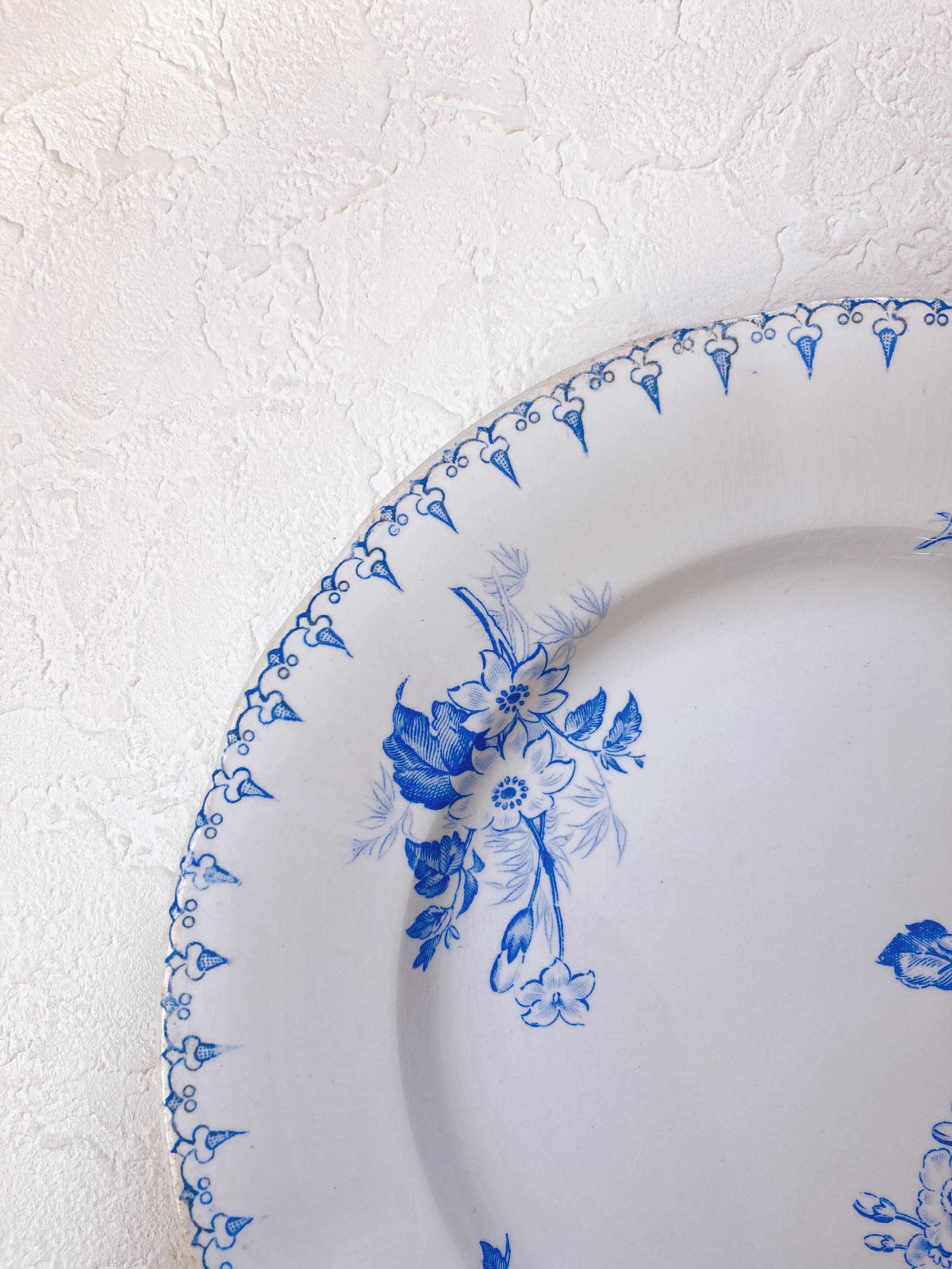 サルグミンヌBUFFON sarreguemines buffon サルグミンヌBUFFON sarreguemines buffon