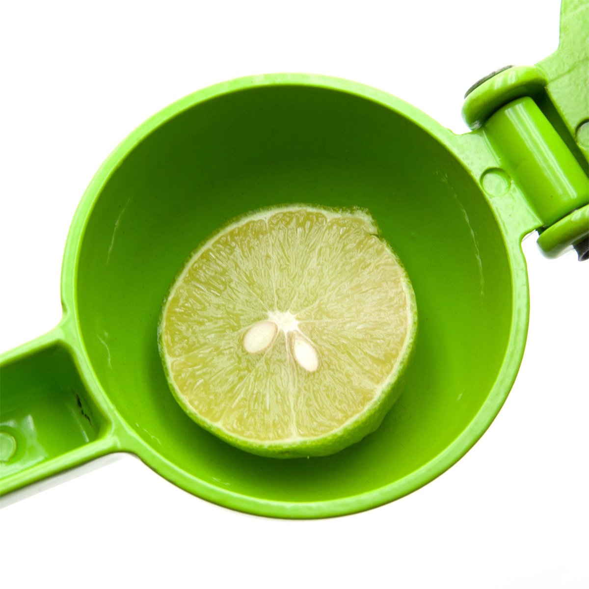 【なおかずさん専用】メキシカンライム2本セット2年生 ライムの木 キーライム メキシカンライム（キーライム）絞り器 | 【公式】メキシコ中南米市場