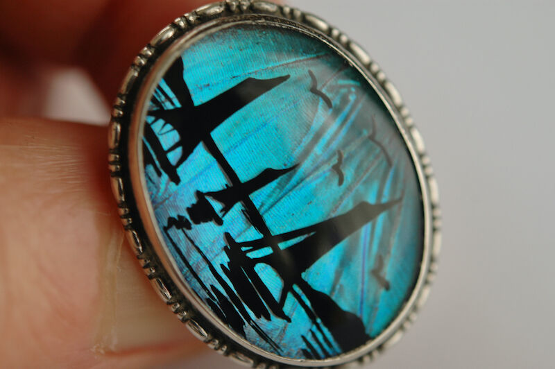 希少　モルフォ蝶 羽細工　アンティーク　ヴィンテージ 希少 羽根細工 モルフォ蝶◇蝶羽画 絵画 木製額 - メルカリ