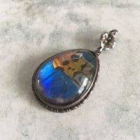 silver925 モルフォ蝶の羽/Art Deco アンティークペンダントトップ/イギリス