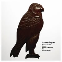 Amamiaynu（アマミアイヌ）LP