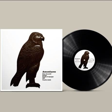 Amamiaynu（アマミアイヌ）LP