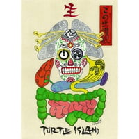 TURTLE ISLAND - この世讃歌(CD+DVD) [2012] MA/CDV-0