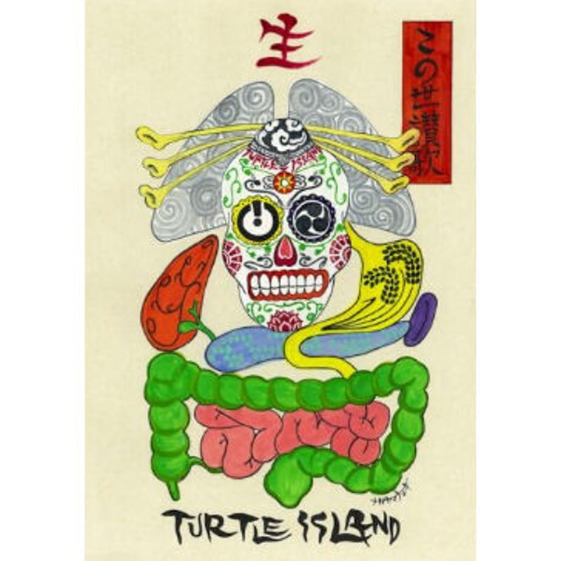 その他 turtle [CD] TURTLE ISLAND - この世讃歌(CD+DVD) [2012] MA/CDV-0 |