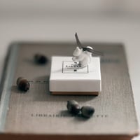 リスのフェーヴ