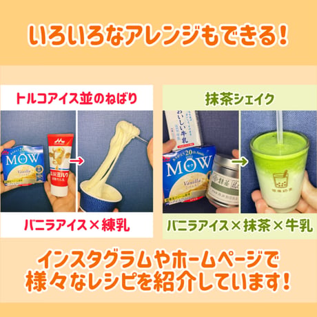 【元祖】市販のカップアイスを混ぜてソフトクリームに変える！『アイホイスプーン』