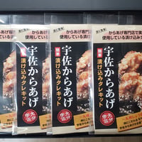 宇佐からあげ漬け込みタレキット4Pセット 贈答箱入り