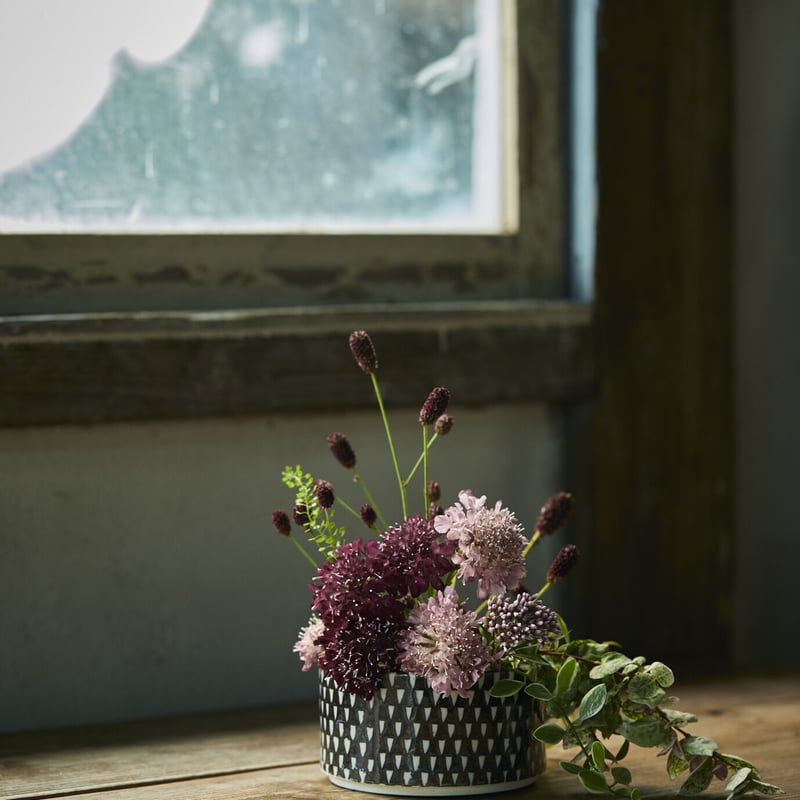 陶箱クッキー（鹿の子赤）※春限定色（販売終了） | HASAMI