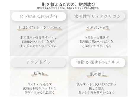 HSC air washing【濃密泡洗顔】